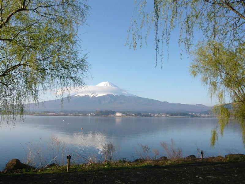 Dreamy Kawaguchiko Cottage Tozawa Center image
