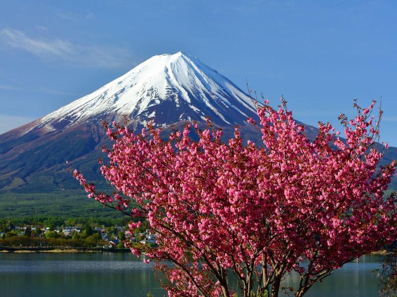 Dreamy Kawaguchiko Cottage Tozawa Center image