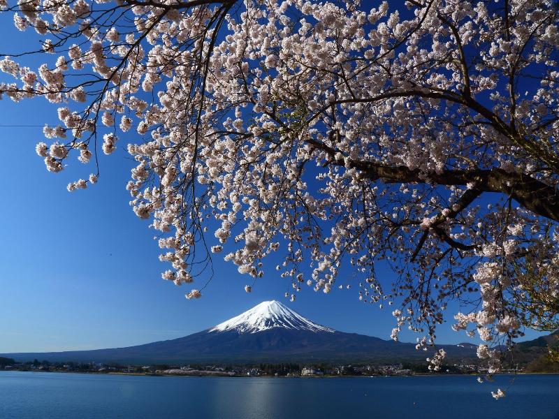 Dreamy Kawaguchiko Cottage Tozawa Center image