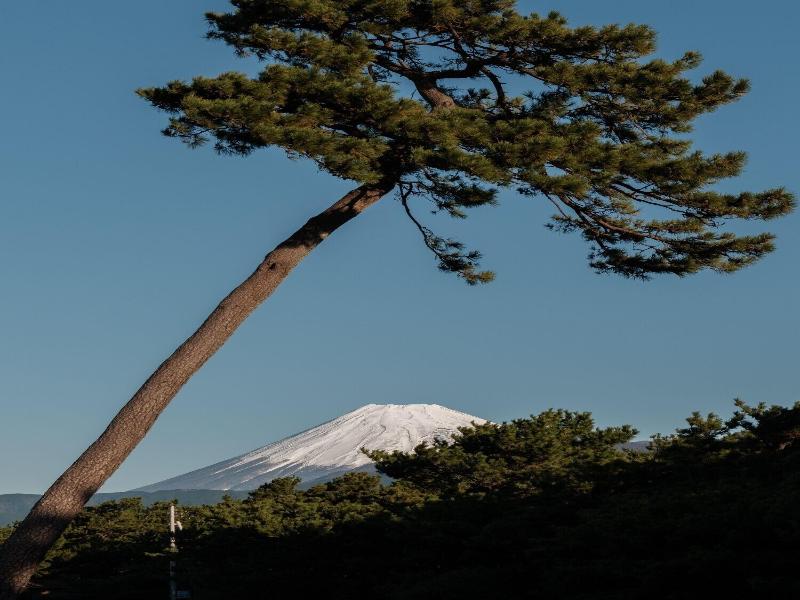 Numazu Club image