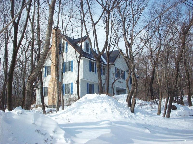 Cozy Inn Antique image