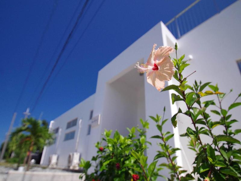 Guest House Umioto