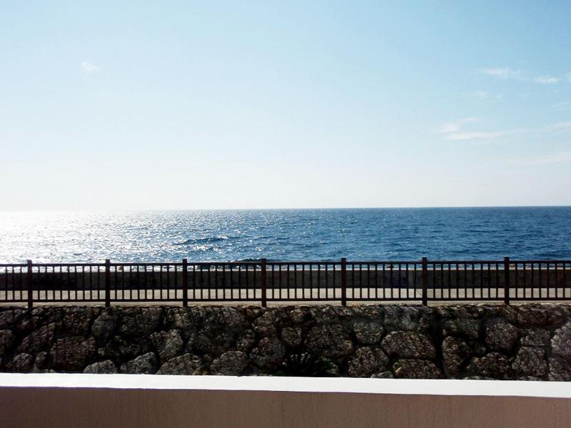 Lagoon Palace image