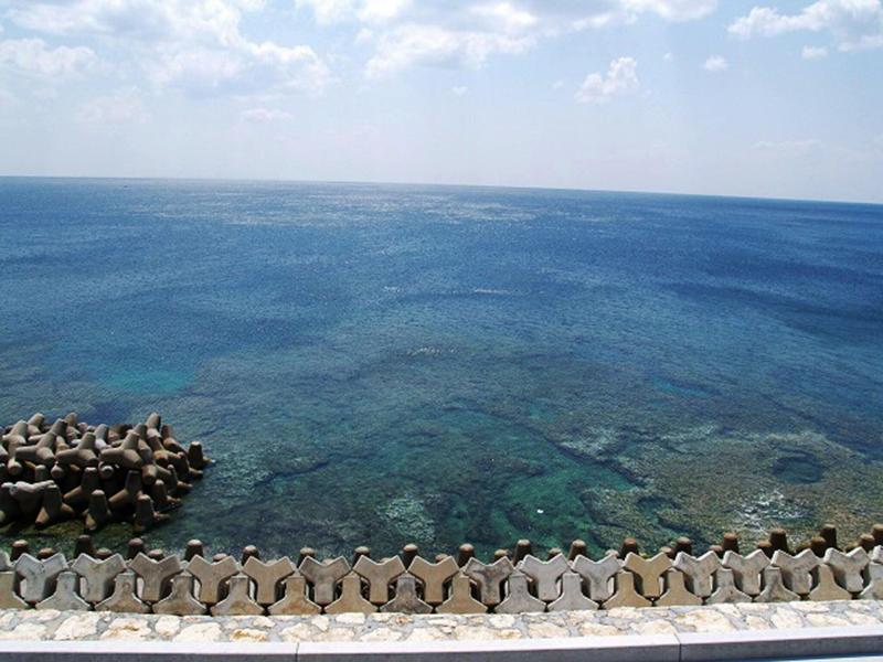 Lagoon Palace image