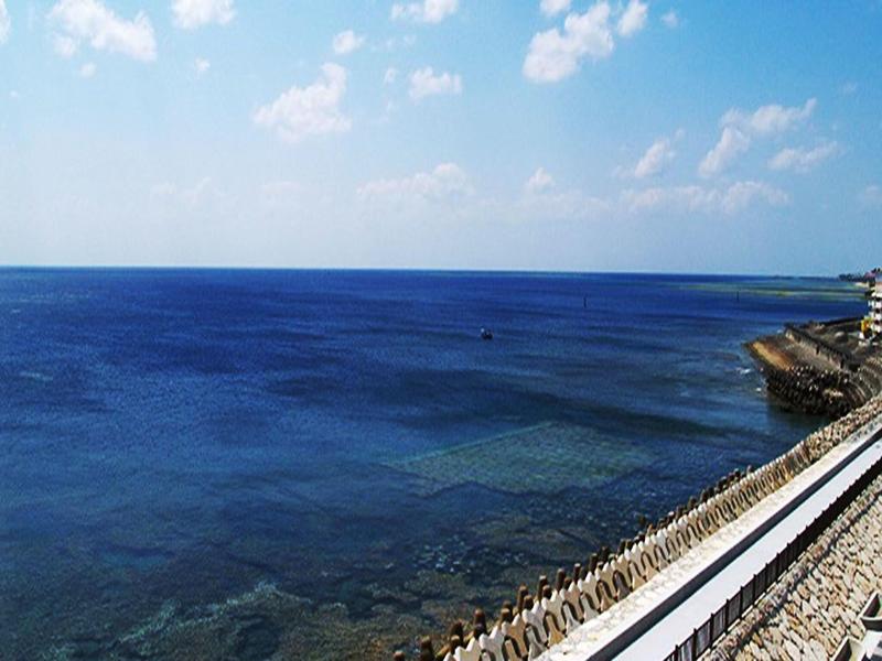 Lagoon Palace image