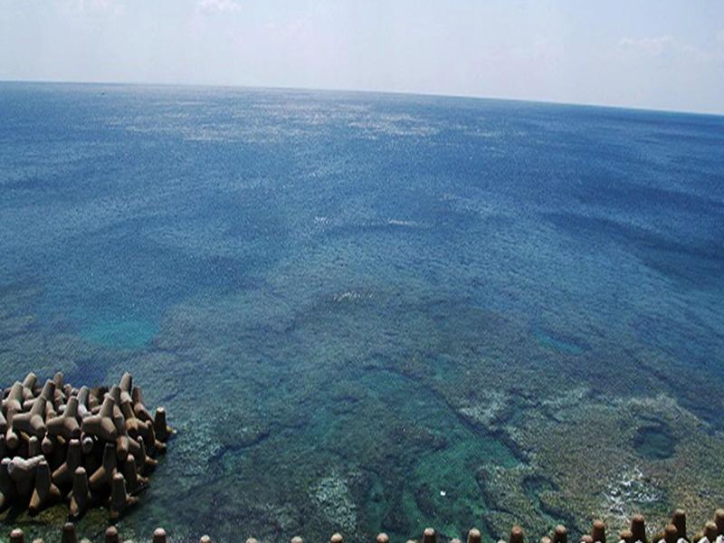 Lagoon Palace image