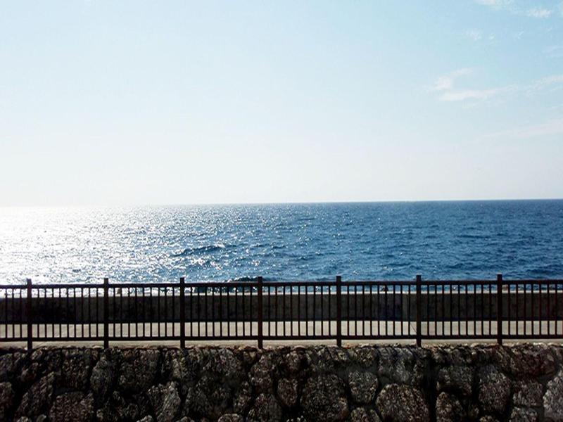 Lagoon Palace image