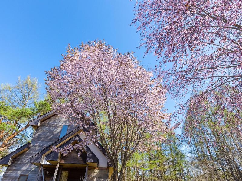 Nature Cottage Akabeko image