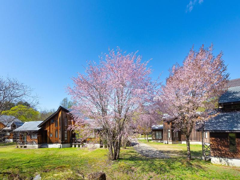 Nature Cottage Akabeko image