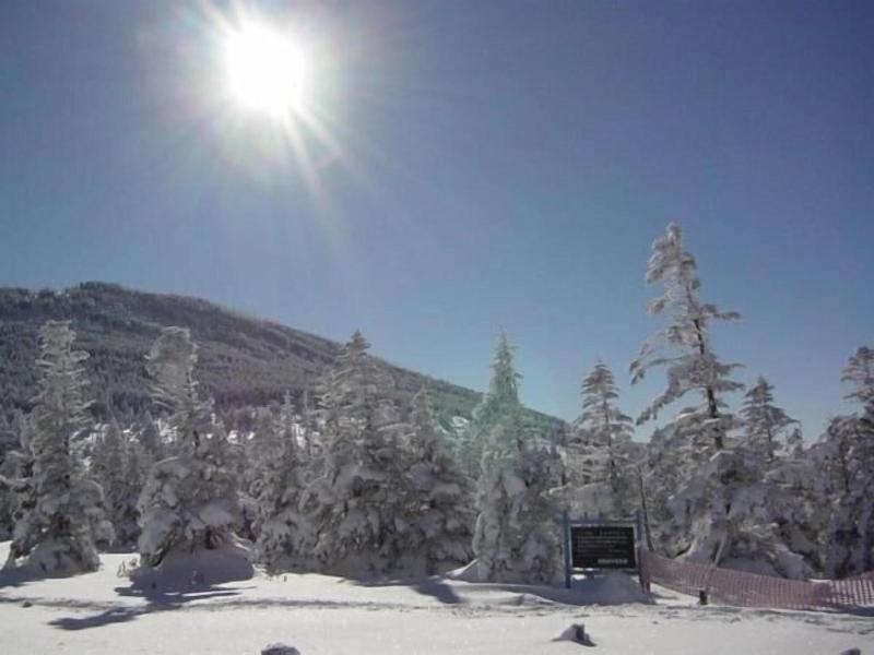 Shikinoyado Subaru image