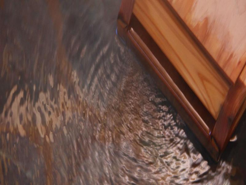 Shinkiya Ryokan image
