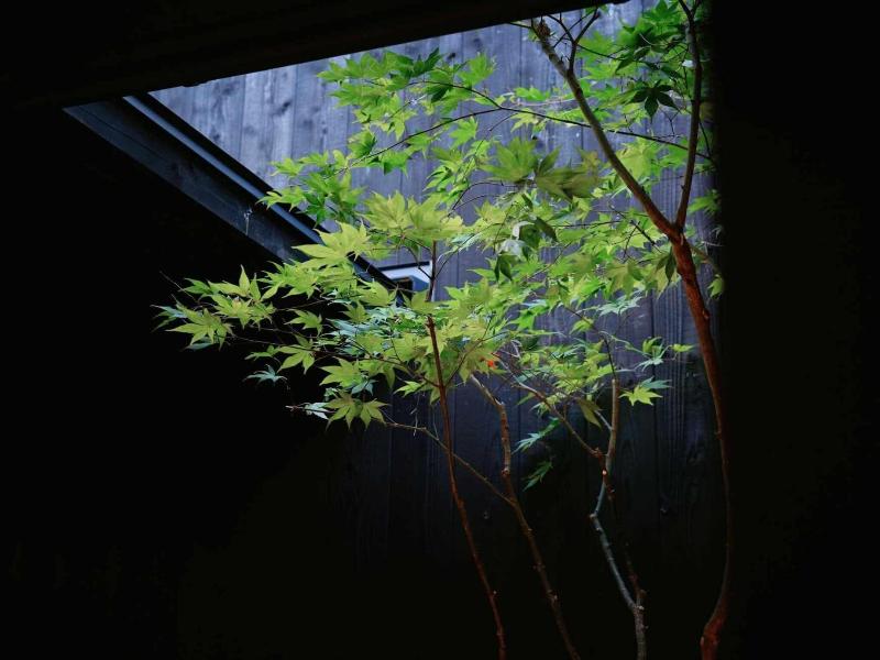 Kiraku Kyoto Zeniyacho image