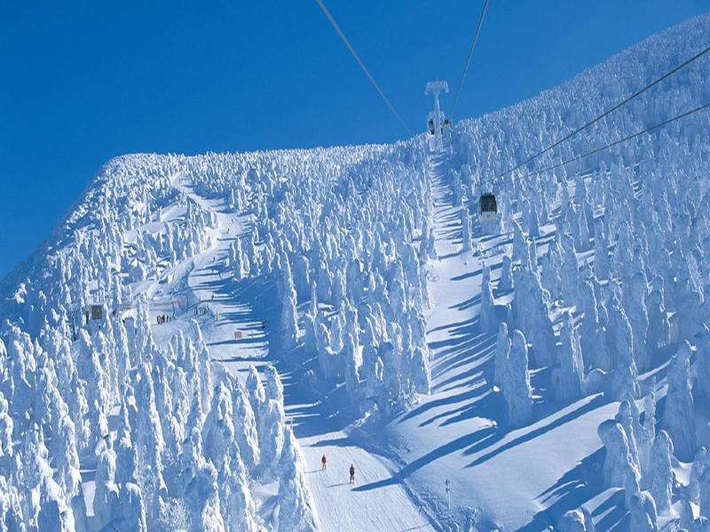 Lodge Scole image