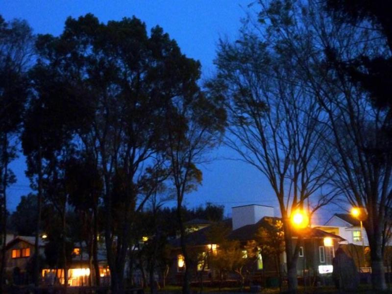 Lilac Hotels And Resort image