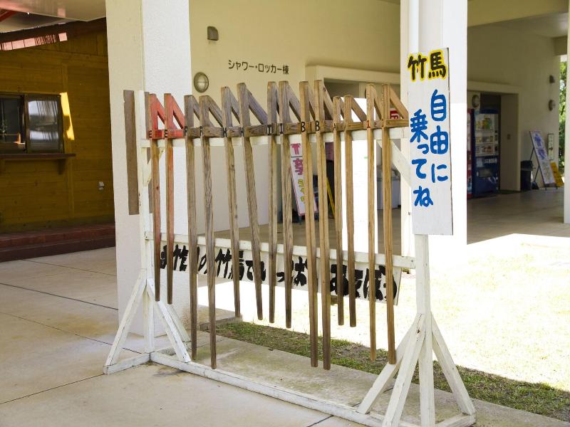 Nature Miraikan image