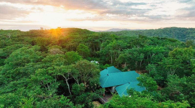 Mikumi Safari Lodge