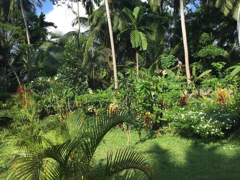 King Coconut Lodge image
