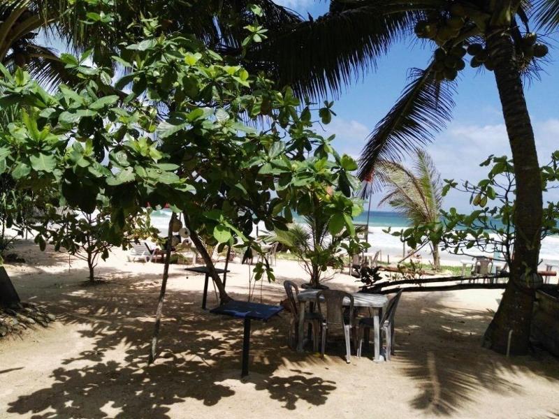 King Coconut Lodge image