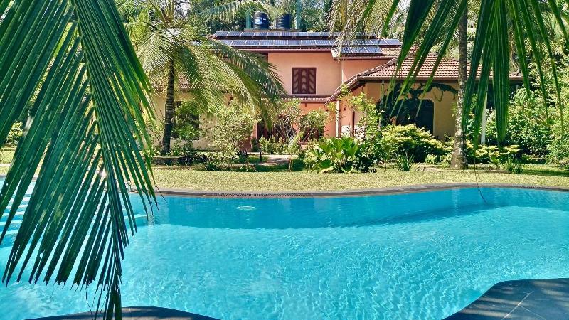 King Coconut Lodge image