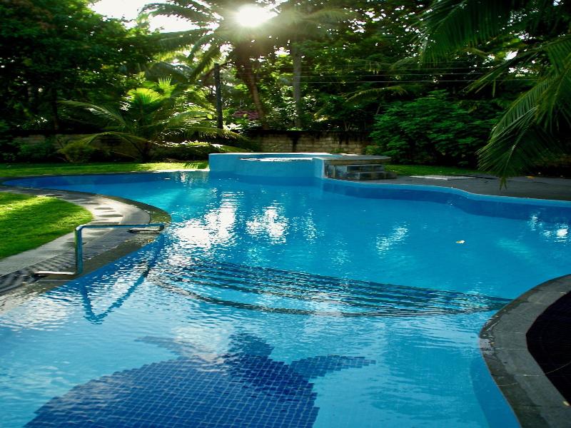 King Coconut Lodge image