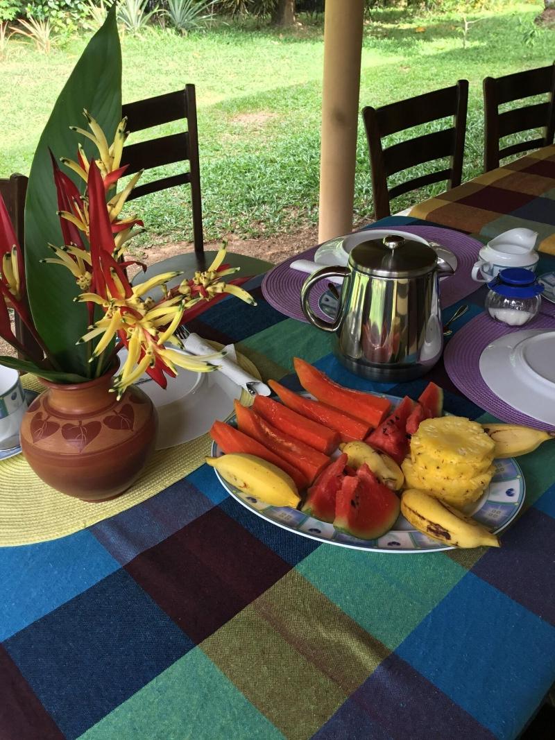 King Coconut Lodge image