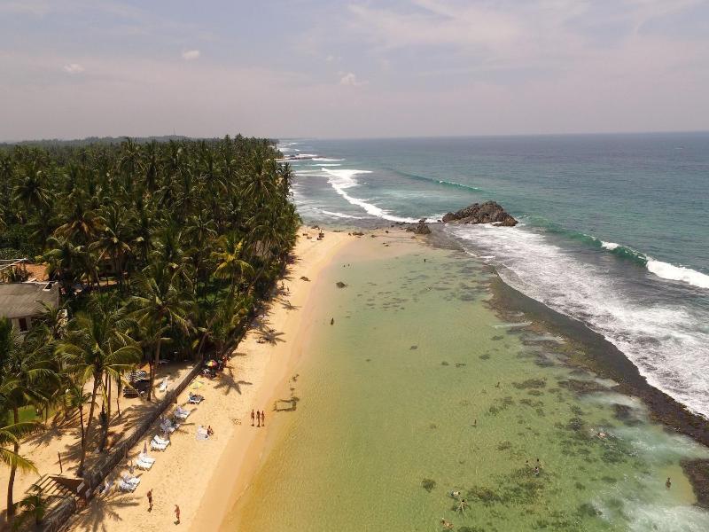 King Coconut Lodge image