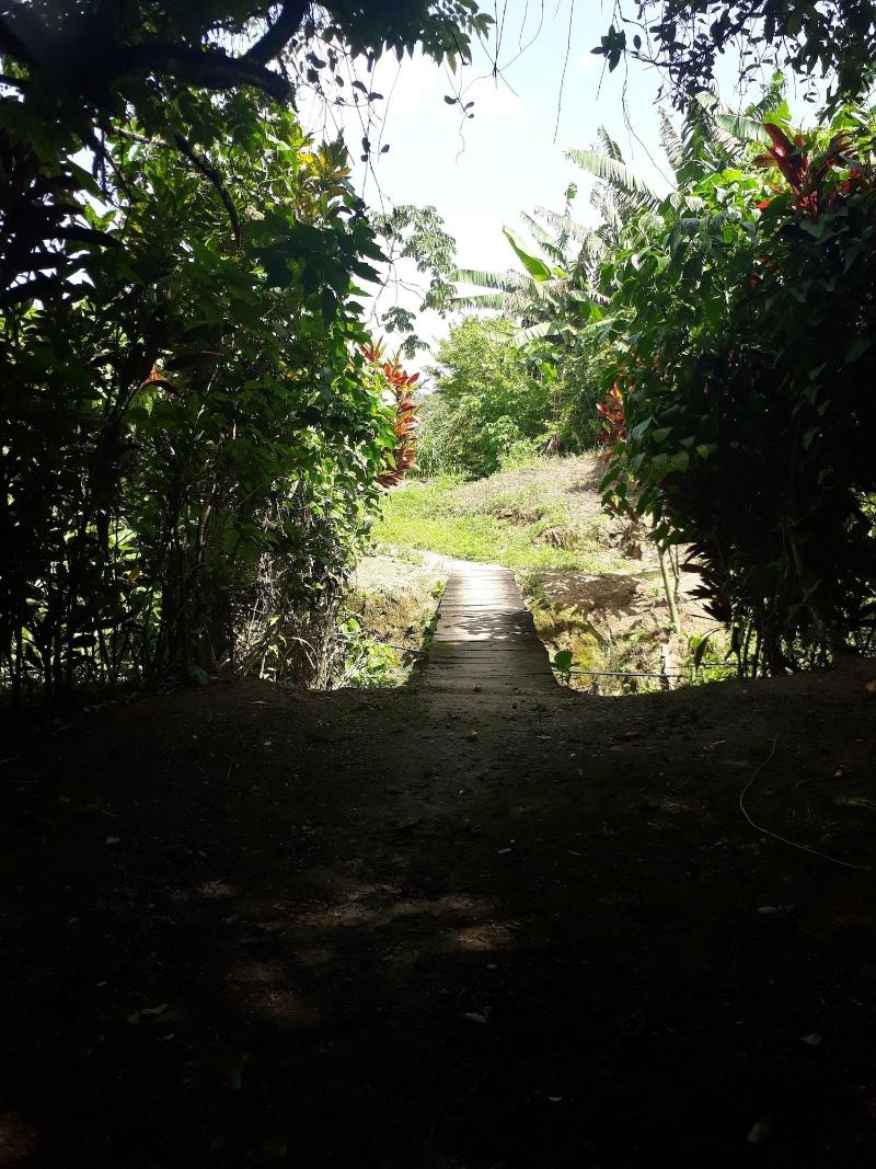 Centro Ecoturistico Rio Chuj Te image