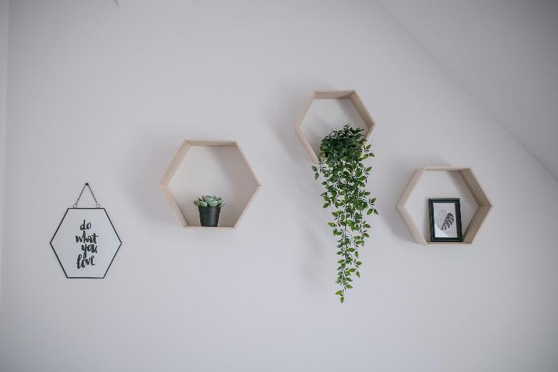 Schoendorf Hostel image