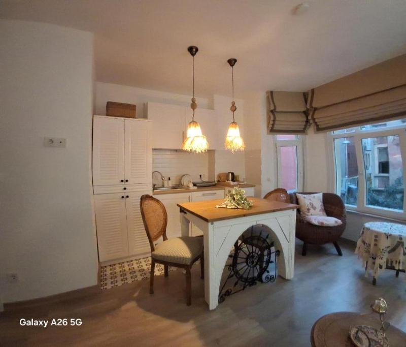 The White Swan Suites image