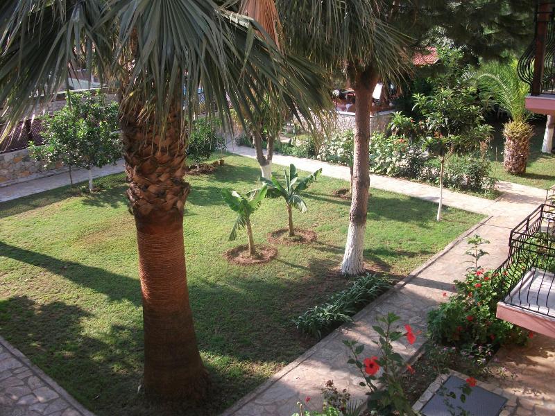 Ilkiz Beach Hotel image
