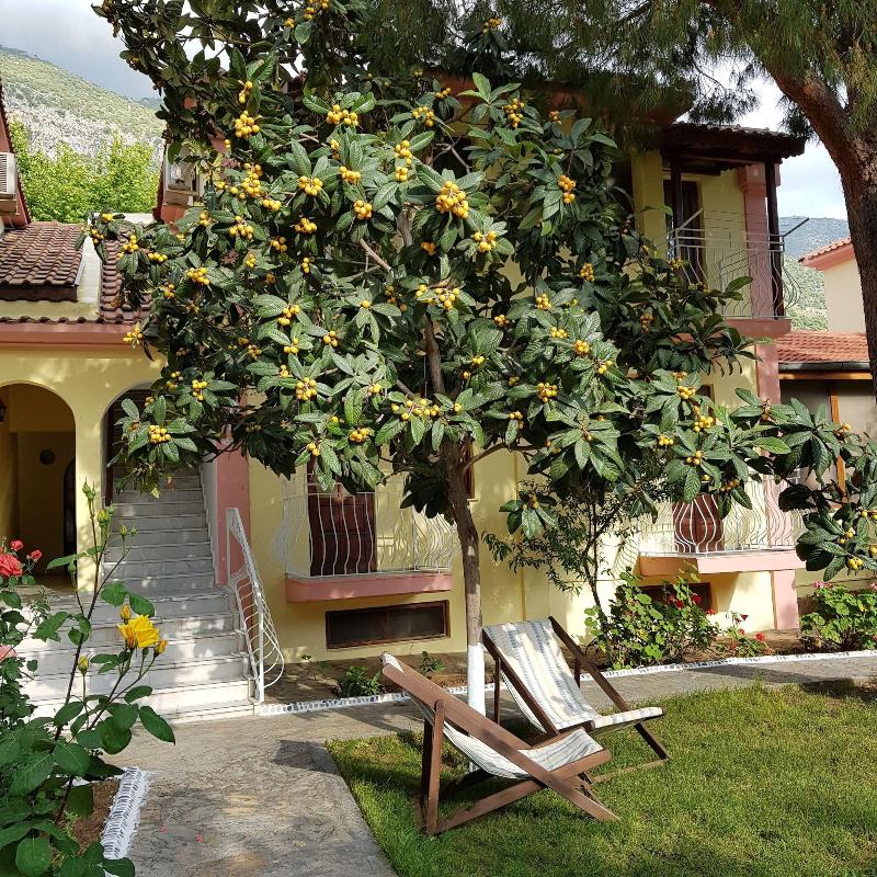 Ilkiz Beach Hotel image