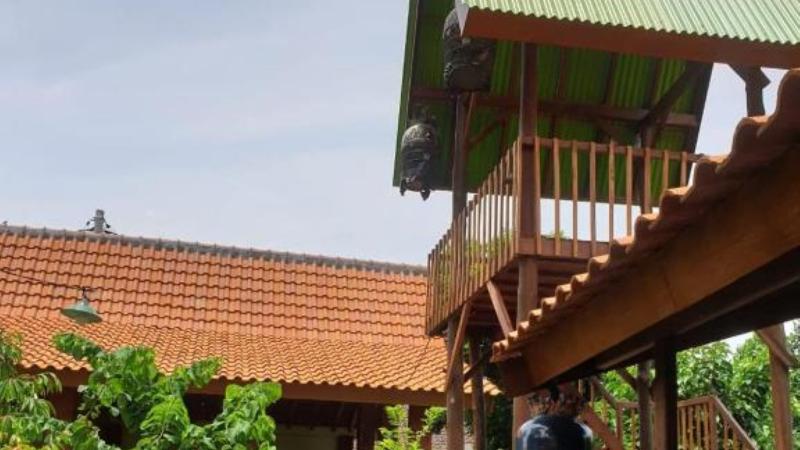 Nita's Homestay Banyuwangi by ZUZU image