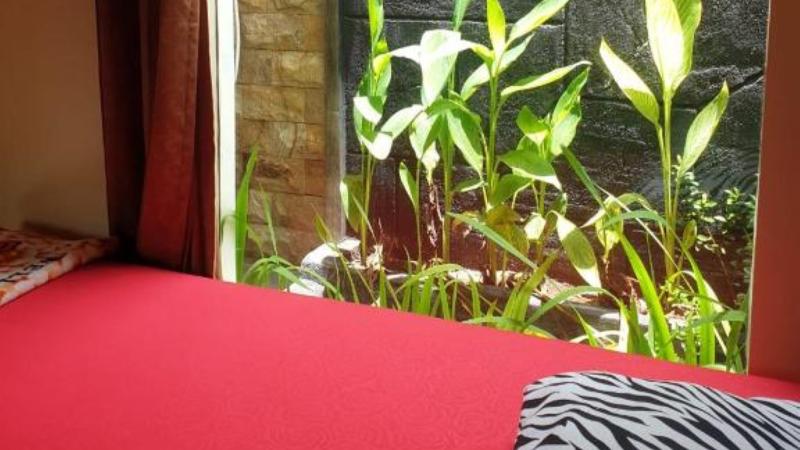 Nita's Homestay Banyuwangi by ZUZU image