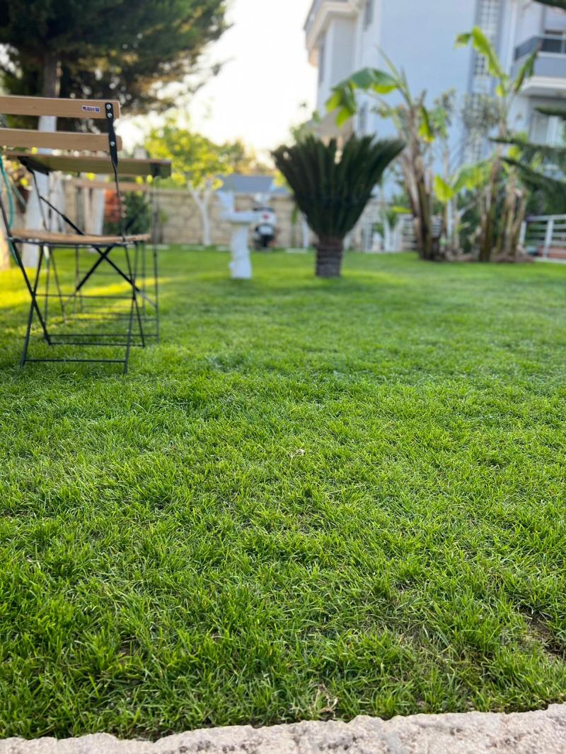 Luna Alacatı Otel image