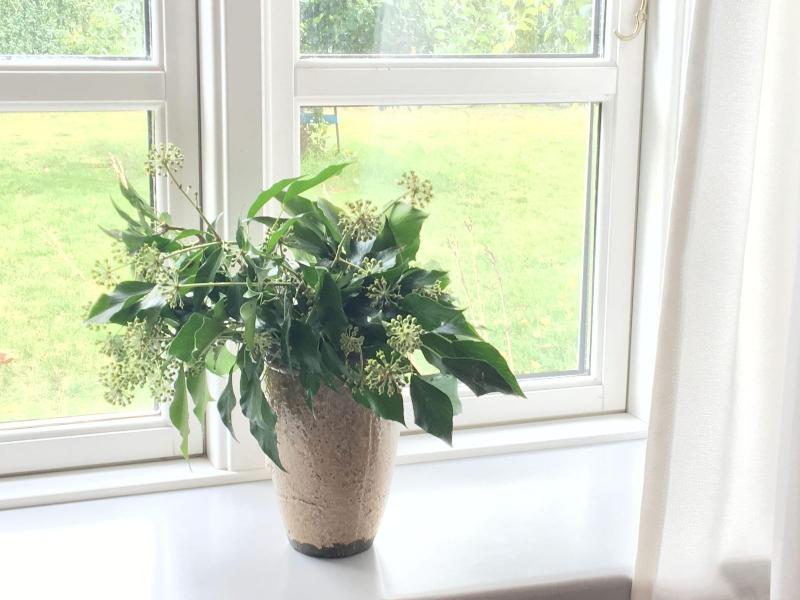 Spangsgaard bed and breakfast image