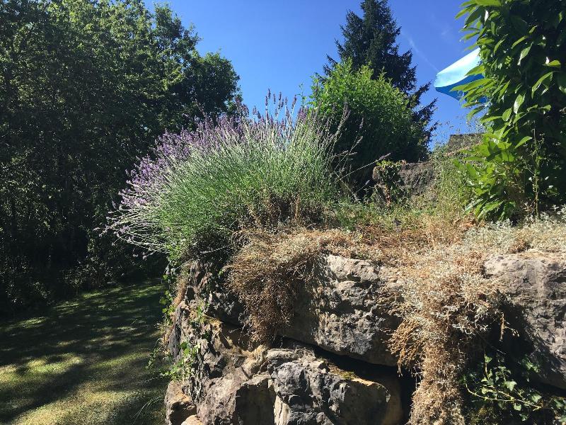 Gites La Source image