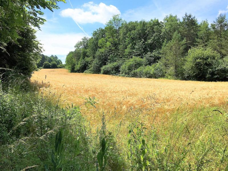Gites La Source image