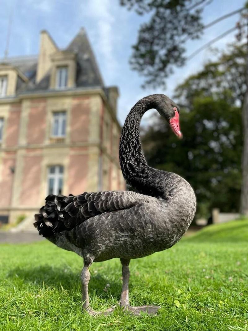 Chateau Cote de Nacre image