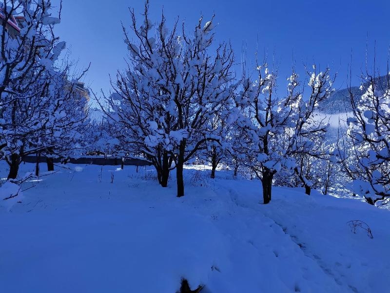 Montana Blues Resort By Snow City image