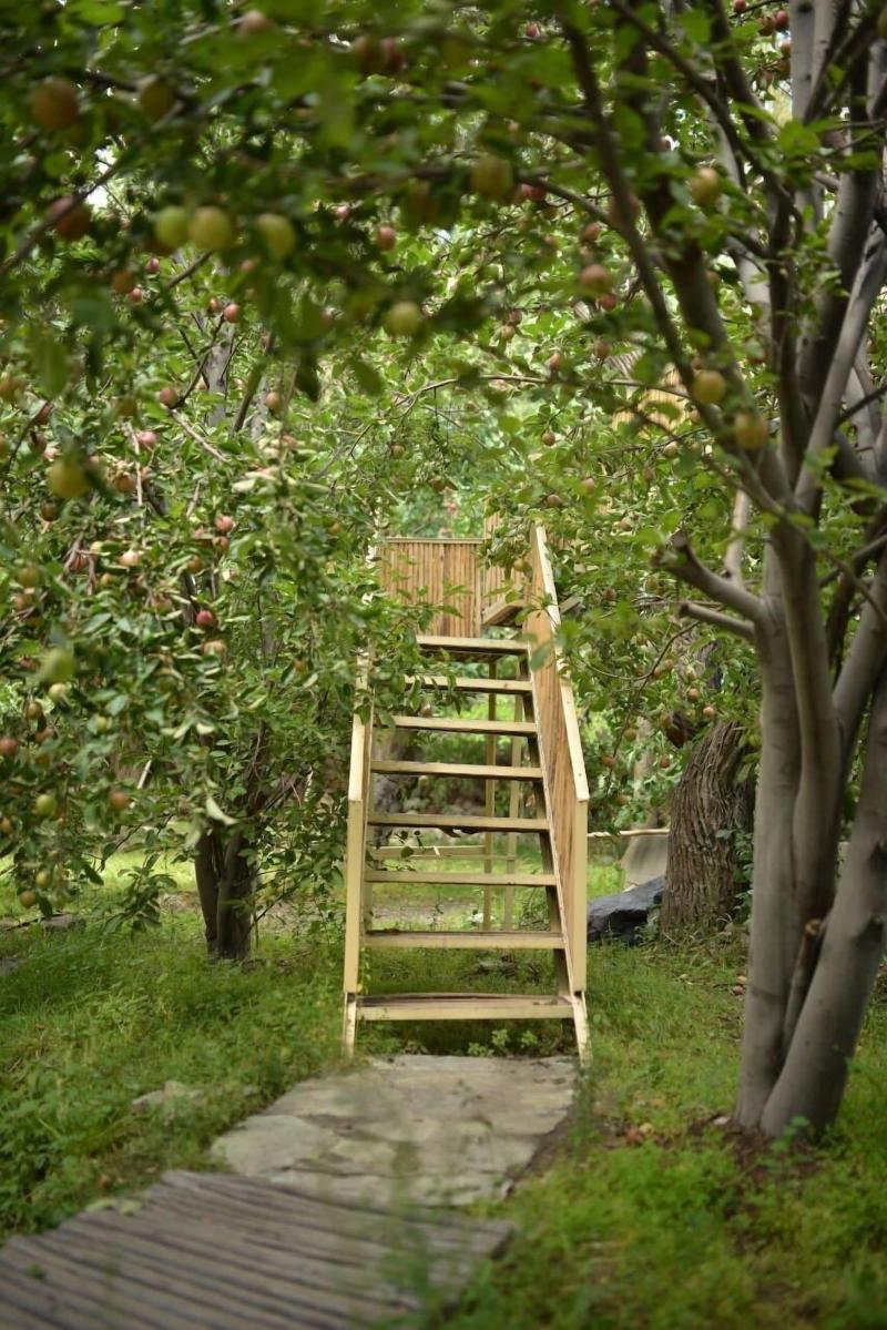 Organic Village Retreat