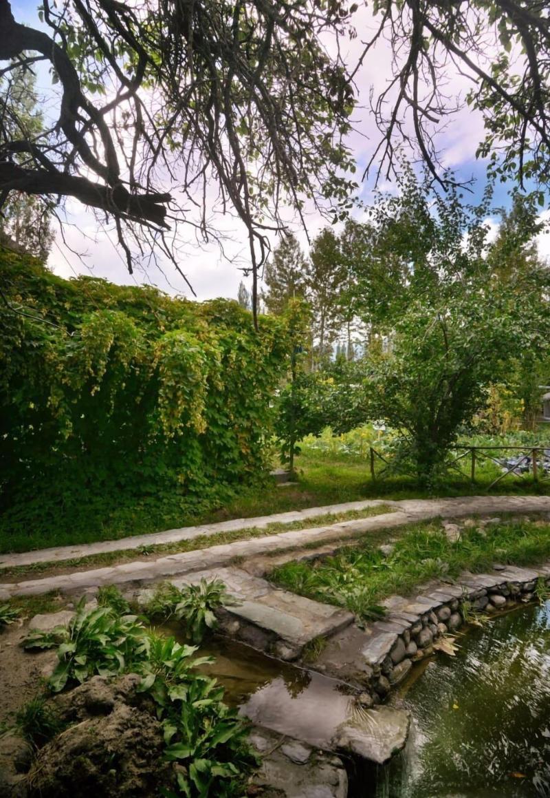 Organic Village Retreat