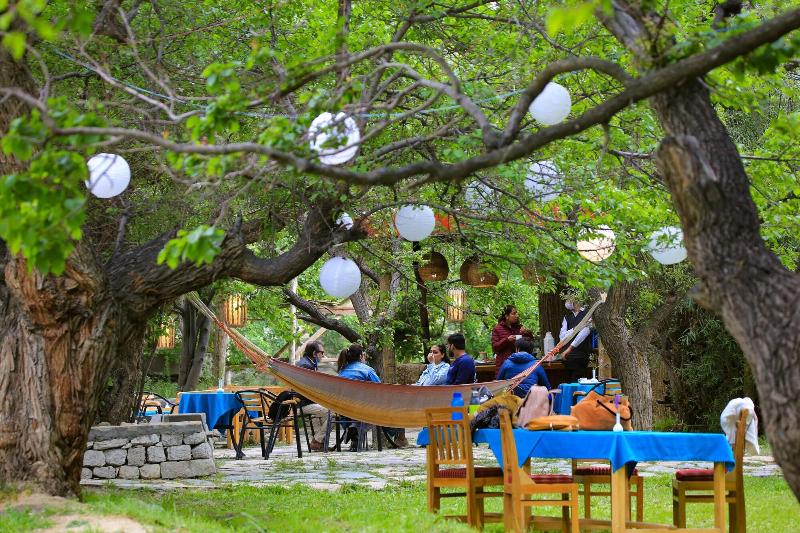 Organic Village Retreat