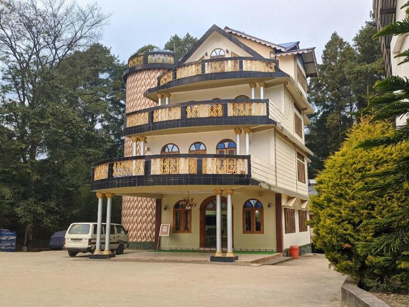 Ziro Palace Inn