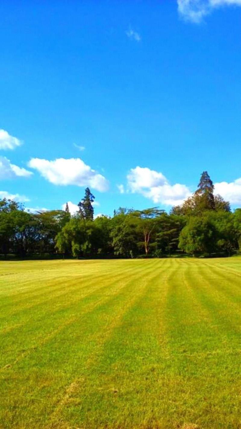 Kenmosa Resort image