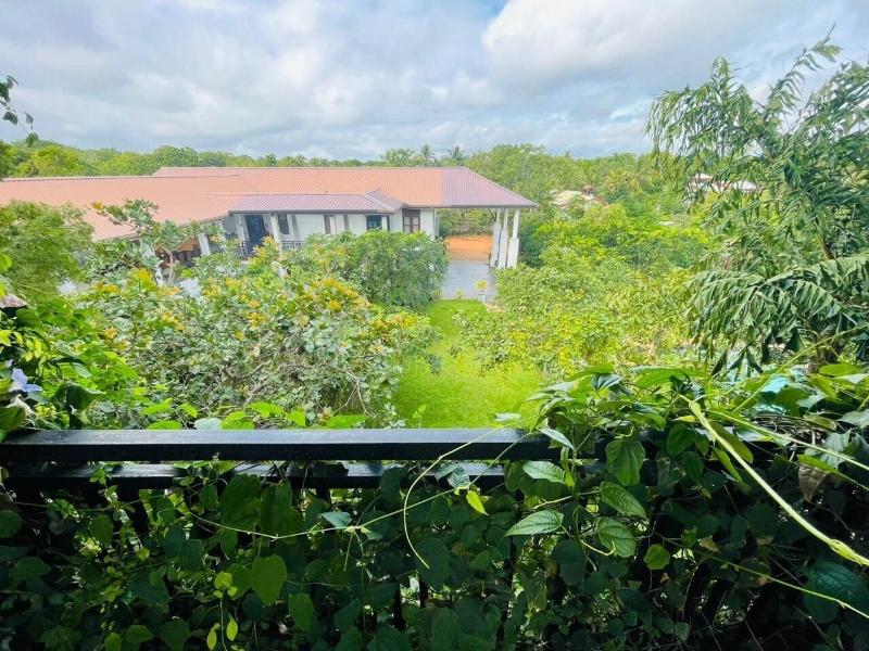 Four Points Resort - Anuradhapura image