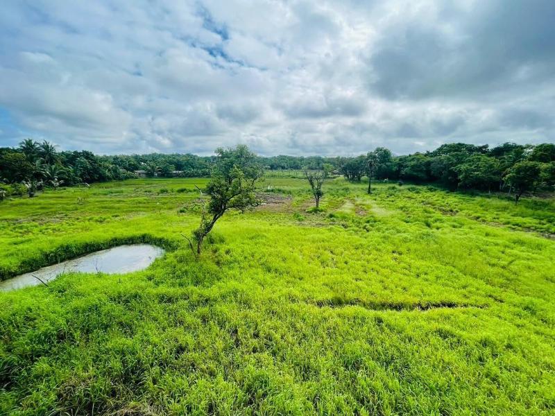 Four Points Resort - Anuradhapura image