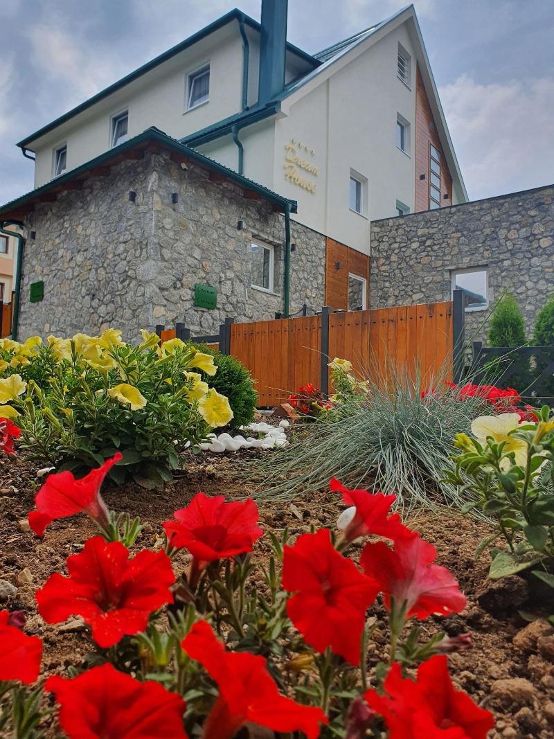 Dream House Hotel image