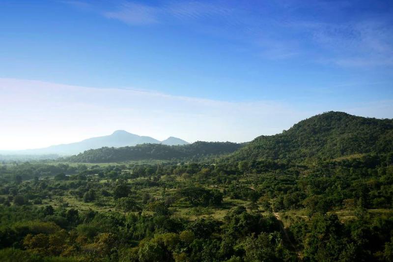 The Peak Residence image