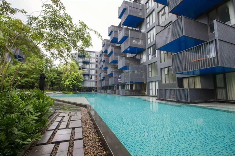 The Deck patong By dream image