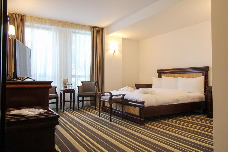 Hotel Avenue Buzau image